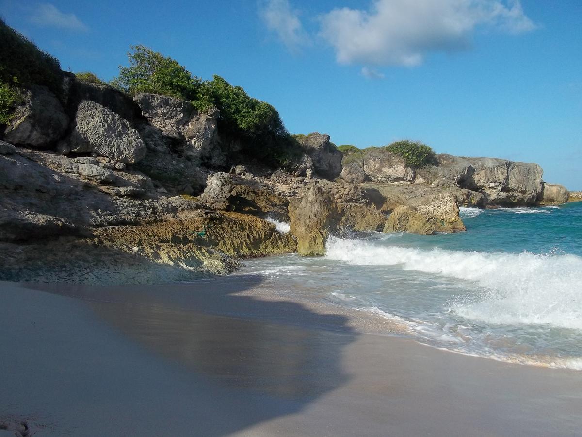 Ocean Ridge At Long Beach 基督教堂市 外观 照片